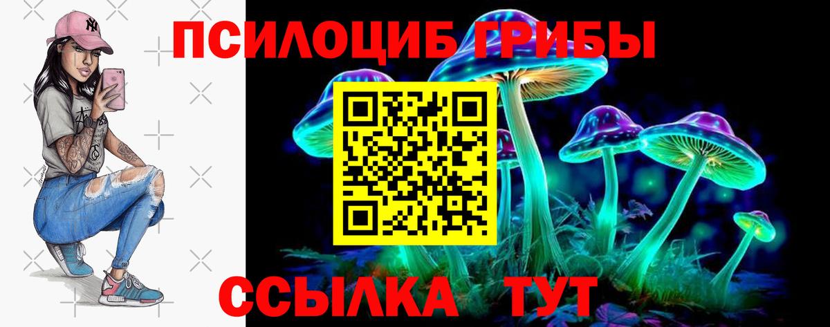 Норильск  Галлюциногенные грибы Psilocybine cubensis  Вход с VPN 